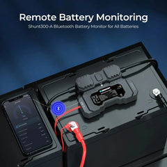 RENOGY Battery Shunt 300 - Green Vista Living