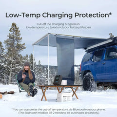 Rover Li 20 Amp MPPT Solar Charge Controller - Green Vista Living