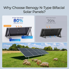 Renogy N-Type Bifacial 2PCS 590W Monocrystalline Solar Panel - Green Vista Living