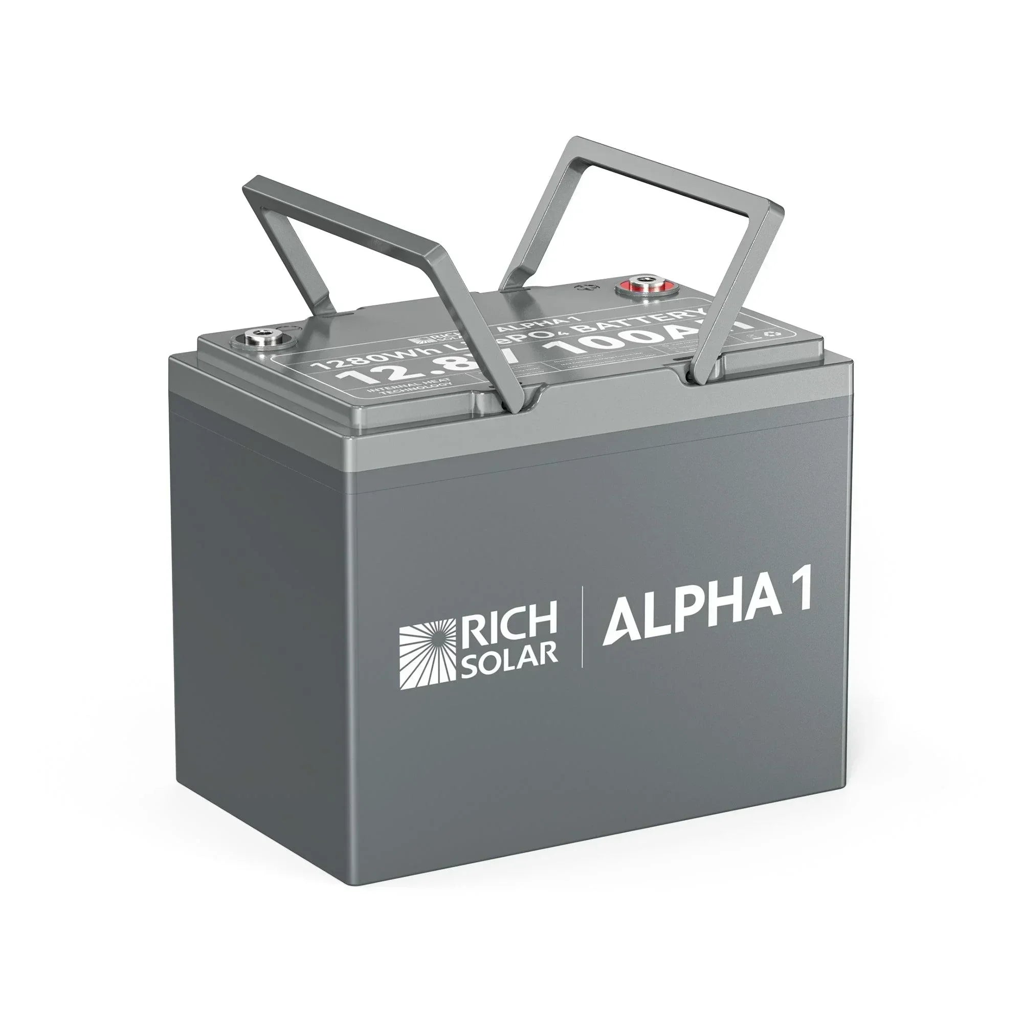ALPHA 1 | 12V 100Ah LiFePO4 Battery | Powerful 12V Lithium Battery for RVs, Trailers, Vans, Boats, Off-Grid | 5,000 Lifetime Cycles | Bluetooth and Internal Heat Technology - Green Vista Living