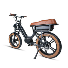 EUNORAU FLASH LITE ST 52V750W Fat Tire eMoped Electric Bicycle - Green Vista Living