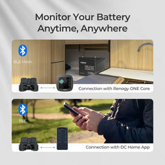 RENOGY Battery Shunt 300 - Green Vista Living