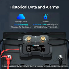 RENOGY Battery Shunt 300