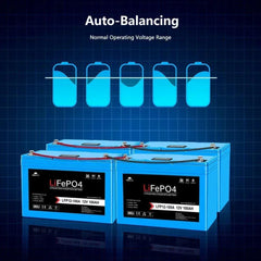 Sungold Power 12V 100AH LiFePO4 Deep Cycle Lithium Battery / Bluetooth /Self-heating / IP65 - Green Vista Living