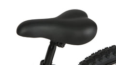 Eunorau EKIDS-20 2024 - Green Vista Living