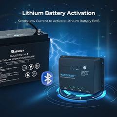Wanderer Li 30A PWM Charge Controller