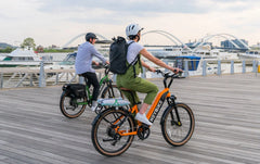Heybike Cityrun-Combo - Green Vista Living