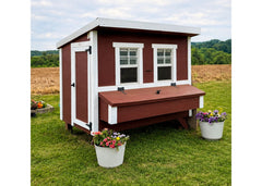 Large Chicken Coop - Up to 15 Chickens