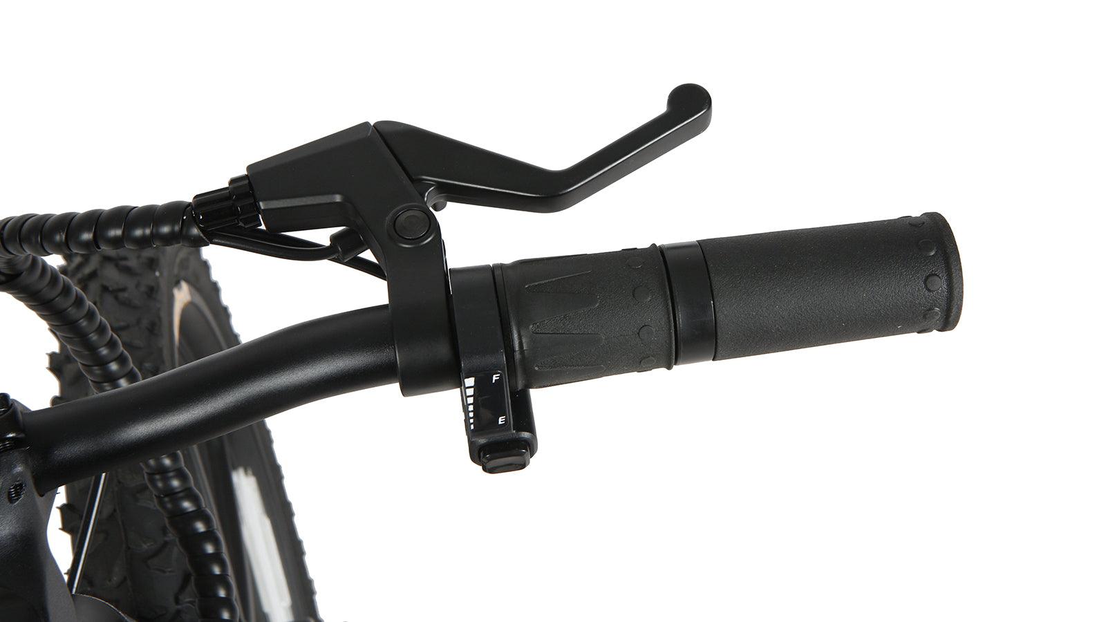 Eunorau EKIDS-20 2024 - Green Vista Living