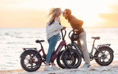 Heybike Ranger S 1000W Combo - Green Vista Living