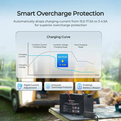 Renogy 12V 20A/24V 10A AC-to-DC LFP Portable Battery Charger - Green Vista Living