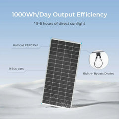 Renogy 200 Watt 12 Volt Monocrystalline Solar Panel with 40 Amp MPPT Charge Controller - Green Vista Living