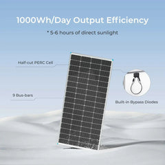 Renogy 200 Watt 12 Volt Monocrystalline Solar Panel with 40 Amp MPPT Charge Controller - Green Vista Living