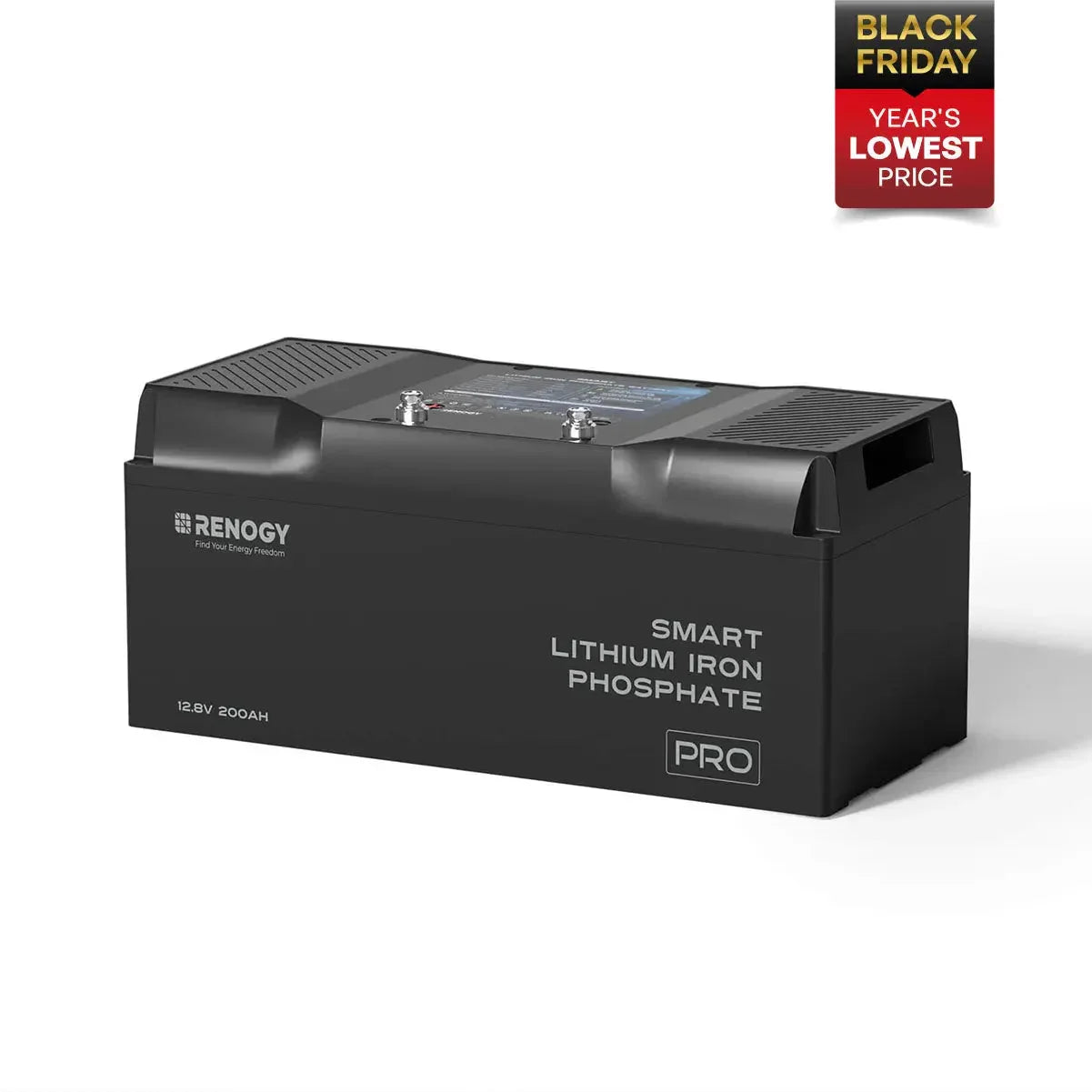 Renogy Pro - 12V 100Ah/200Ah Smart LiFePO4 Battery w/ Bluetooth & Self-Heating - Green Vista Living