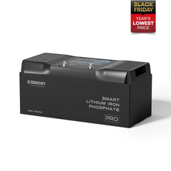 Renogy Pro - 12V 100Ah/200Ah Smart LiFePO4 Battery w/ Bluetooth & Self-Heating - Green Vista Living