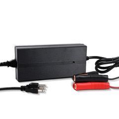 Renogy 12V 20A/24V 10A AC-to-DC LFP Portable Battery Charger