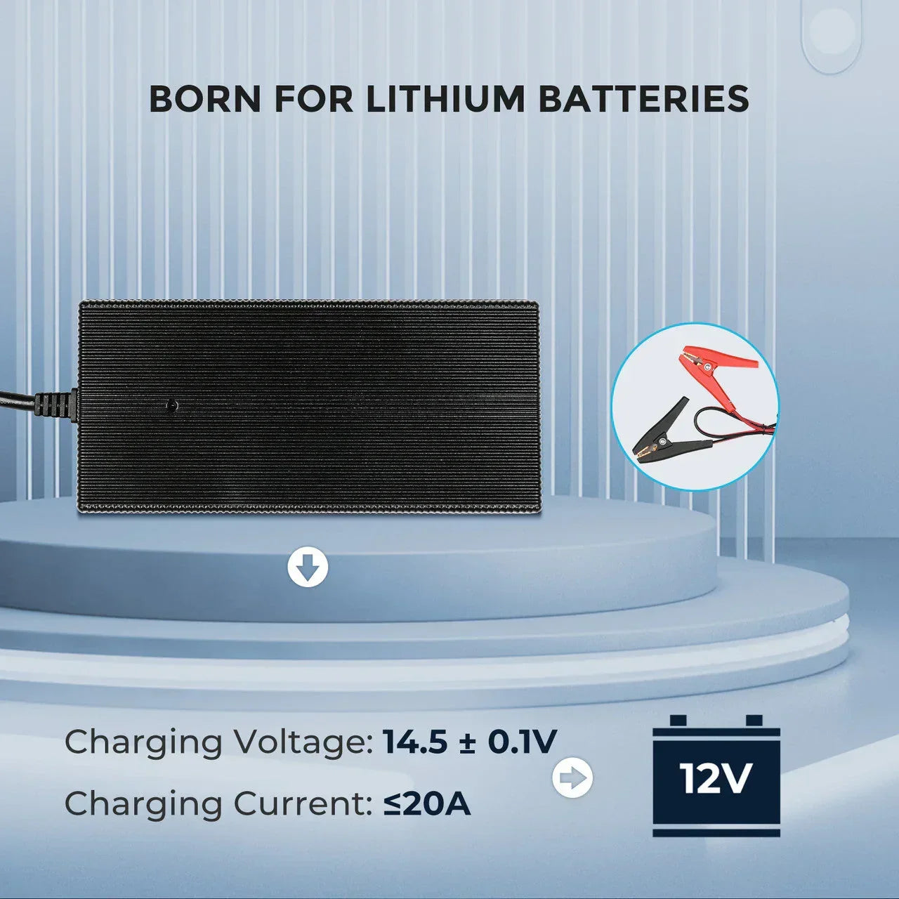 Renogy 12V 20A/24V 10A AC-to-DC LFP Portable Battery Charger - Green Vista Living