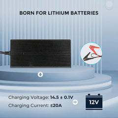 Renogy 12V 20A/24V 10A AC-to-DC LFP Portable Battery Charger - Green Vista Living