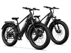 TST® Combo Sale Defender 26" Fat Tire Ebike For Adult