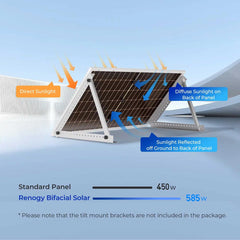 Renogy Bifacial 2PCS 450W Monocrystalline Solar Panel