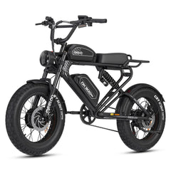 MEELOD DK300 MAX | Dual 1200W Motor, Dual Battery - Green Vista Living