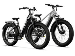 TST® Combo Sale Defender+Dreamer 26" Fat Tire Ebike For Adult