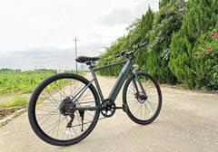 Freego E7 Electric Mountain Bicycle For City Riding - Green Vista Living