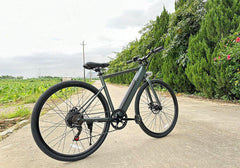 Freego E7 Electric Mountain Bicycle For City Riding - Green Vista Living