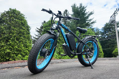 Vitilan H5 Dual Motor Fat Tire Electric Bike - Green Vista Living
