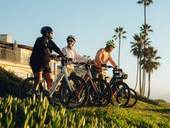 Heybike Venus - Green Vista Living