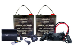 LARGE BUNDLE 36v 120Ah- (2) 36V 60AH LITHIUM BATTERY & 36V 15A WATERPROOF CHARGER - Green Vista Living