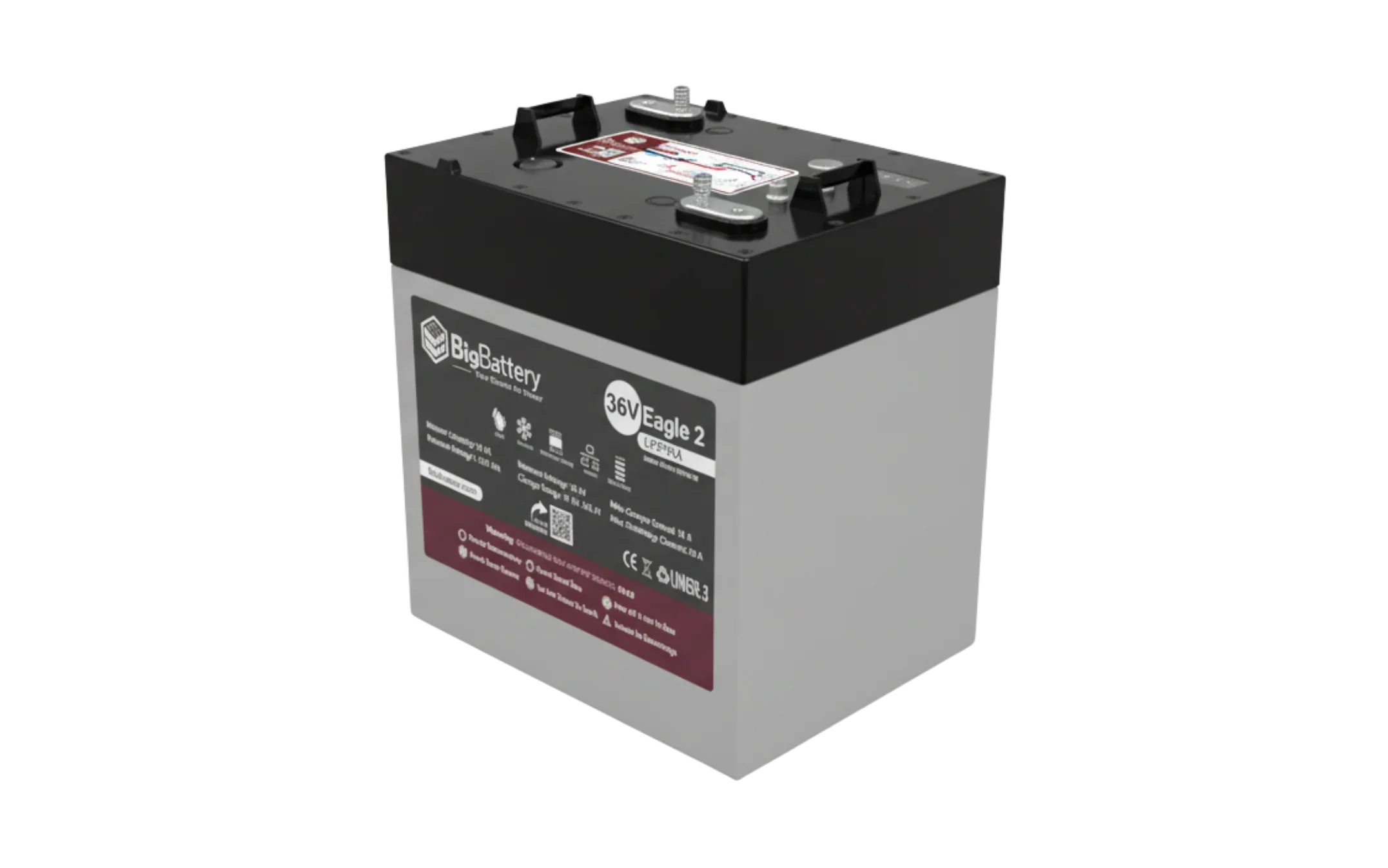 BigBattery 36V EAGLE 2 1.63 kWh LiFePO4 Battery with Heater and Comms - Green Vista Living