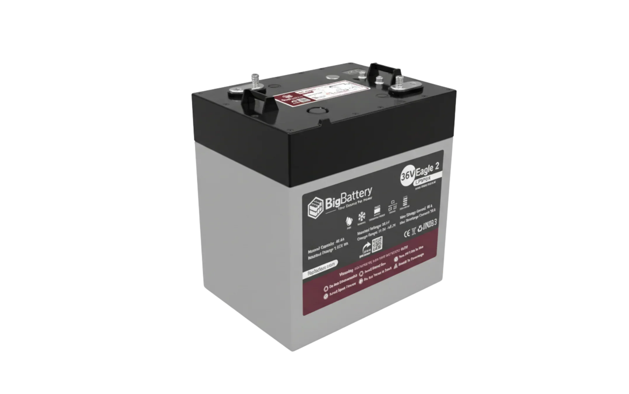 BigBattery 36V EAGLE 2 1.63 kWh LiFePO4 Battery with Heater and Comms - Green Vista Living