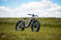 Rambo Megatron 4.0 PRO Limited Edition with Accessory Package - Green Vista Living