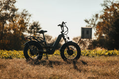 Rambo Revolt AWD Step Thru Bike