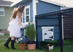 Large Chicken Coop - Up to 15 Chickens