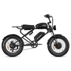 MEELOD DK300 MAX | Dual 1200W Motor, Dual Battery - Green Vista Living