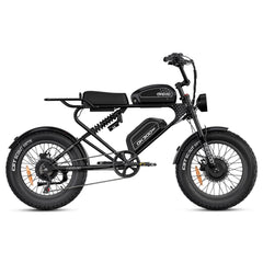 MEELOD DK300 MAX | Dual 1200W Motor, Dual Battery - Green Vista Living