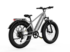 TST® Combo Sale Defender 26" Fat Tire Ebike For Adult