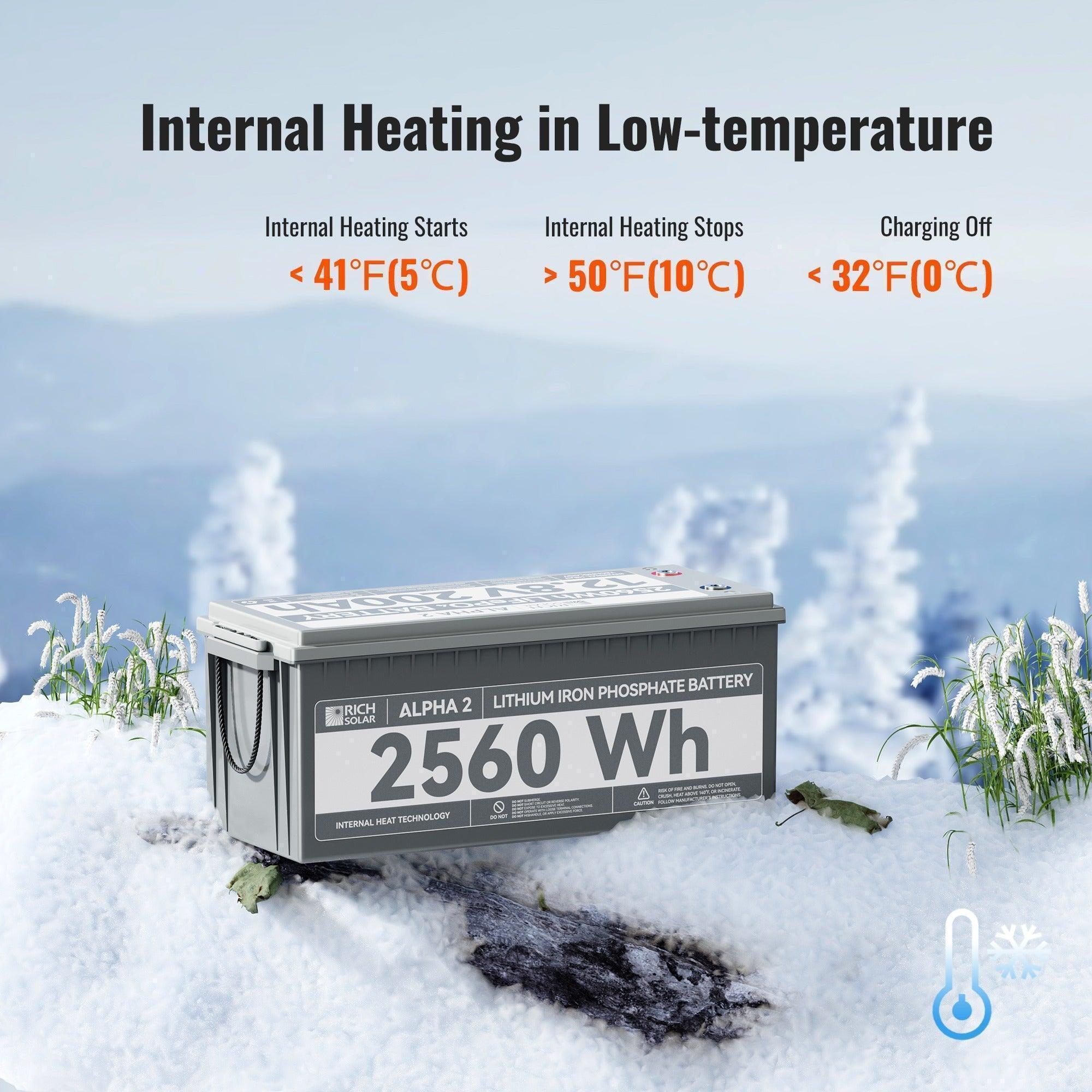 ALPHA 2 | 12V 200Ah LiFePO4 Battery | Powerful 12V Lithium Battery for RVs, Trailers, Vans, Boats, Off-Grid | 5,000 Lifetime Cycles | Bluetooth and Internal Heat Technology - Green Vista Living