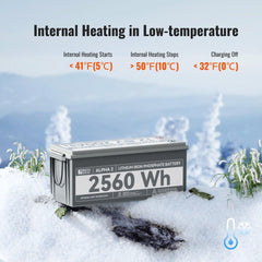 ALPHA 2 | 12V 200Ah LiFePO4 Battery | Powerful 12V Lithium Battery for RVs, Trailers, Vans, Boats, Off-Grid | 5,000 Lifetime Cycles | Bluetooth and Internal Heat Technology - Green Vista Living