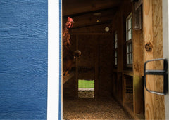 Large Chicken Coop - Up to 15 Chickens