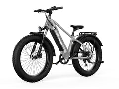 TST® Defender 26" Fat Tire Ebike For Adult