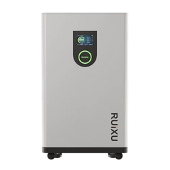RUiXU Lithi2-16 Battery Energy Storage IP65 outdoor | Self-Heating | 51.2V / 314Ah / 16kWh Capacity - Green Vista Living