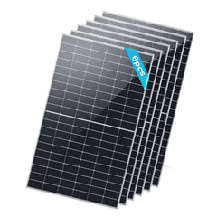 Renogy Bifacial 2PCS 450W Monocrystalline Solar Panel