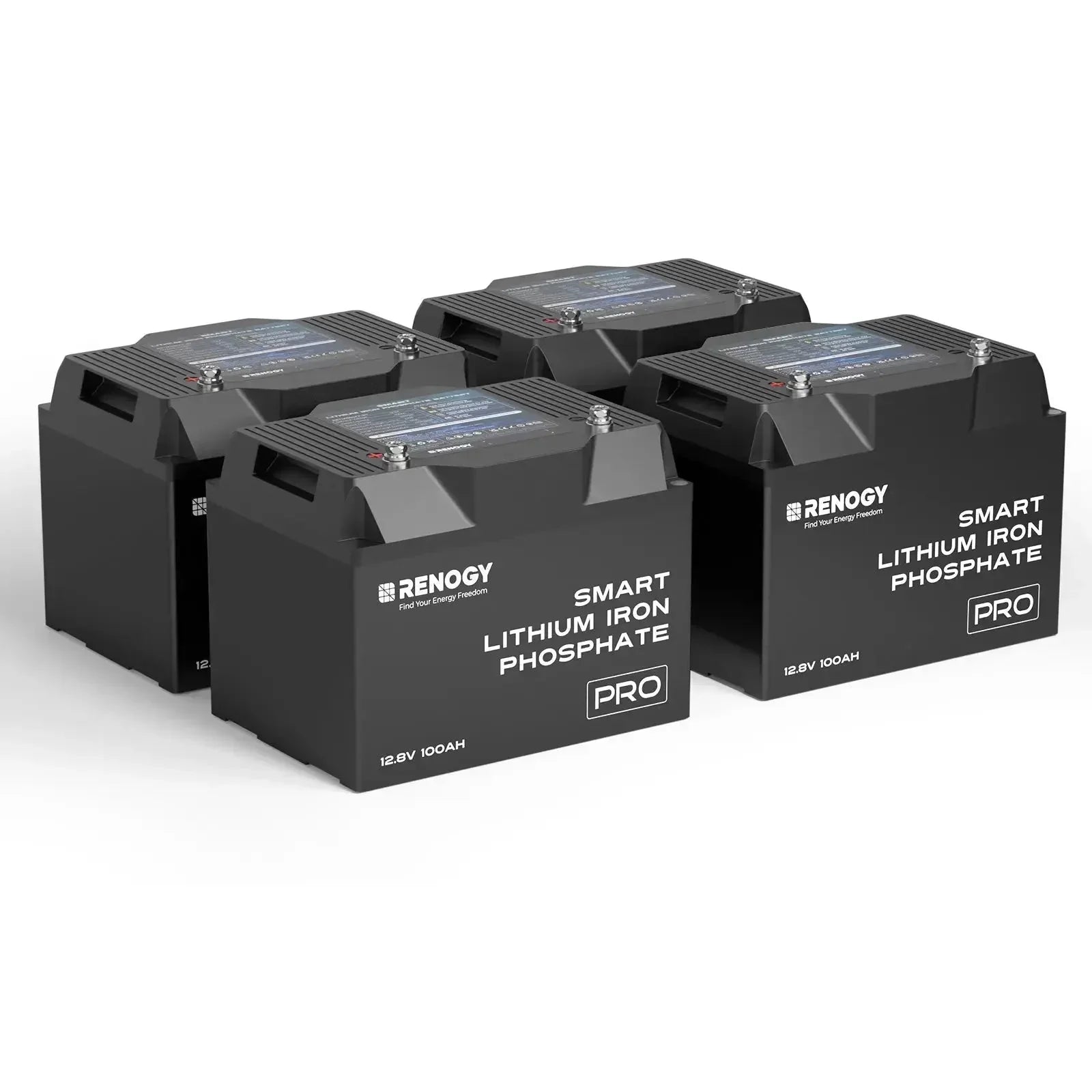 Renogy Pro - 12V 100Ah/200Ah Smart LiFePO4 Battery w/ Bluetooth & Self-Heating - Green Vista Living