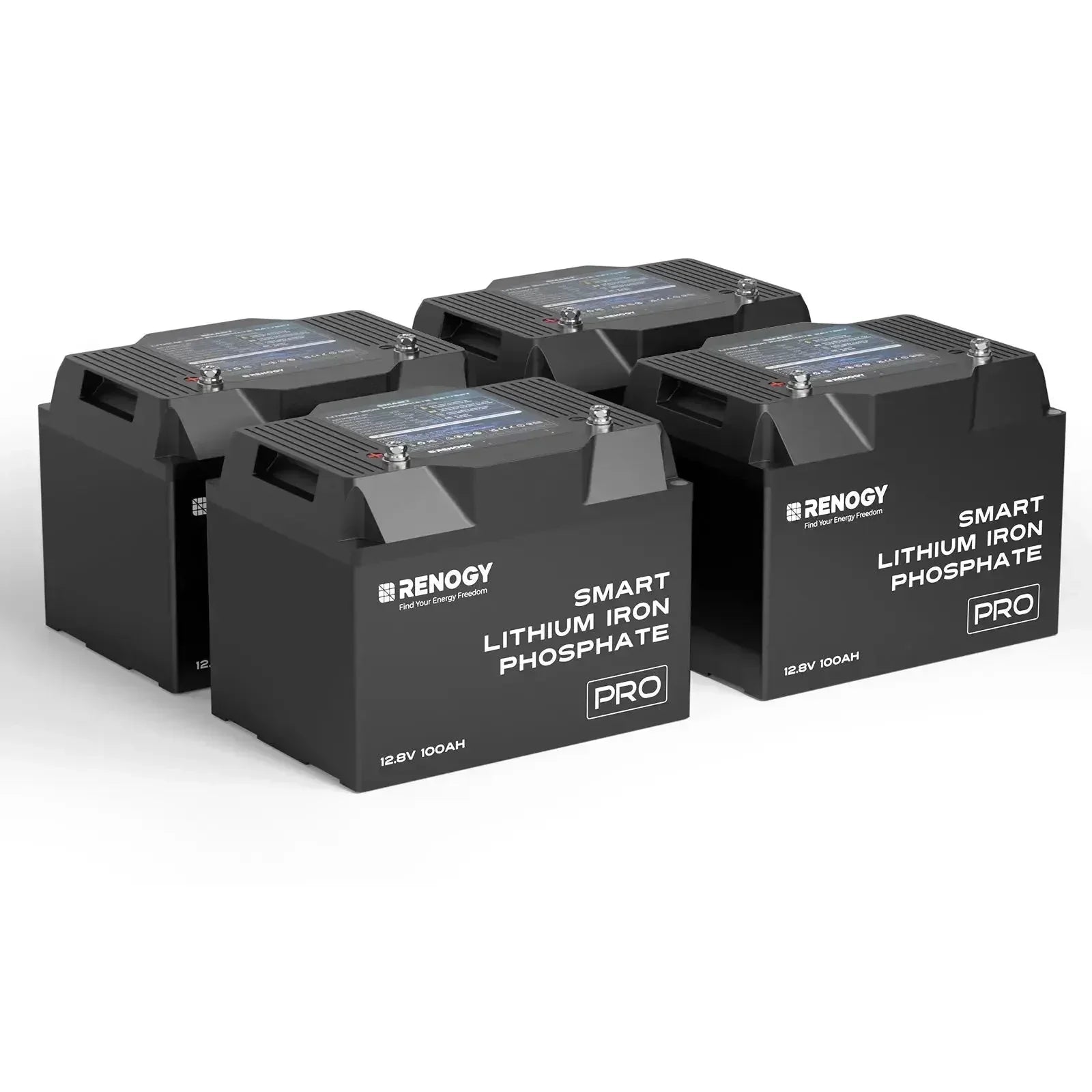 Renogy Pro - 12V 100Ah/200Ah Smart LiFePO4 Battery w/ Bluetooth & Self-Heating - Green Vista Living