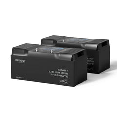 Renogy Pro - 12V 100Ah/200Ah Smart LiFePO4 Battery w/ Bluetooth & Self-Heating - Green Vista Living