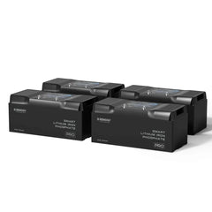 Renogy Pro - 12V 100Ah/200Ah Smart LiFePO4 Battery w/ Bluetooth & Self-Heating - Green Vista Living