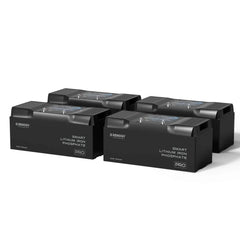 Renogy Pro - 12V 100Ah/200Ah Smart LiFePO4 Battery w/ Bluetooth & Self-Heating - Green Vista Living
